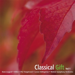 Various Artists - Classical Gift Vol 1 in the group OTHER /  / CDON Jazz klassiskt NX at Bengans Skivbutik AB (645444)