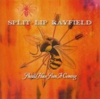 Split Lip Rayfield - Should Have Seen It Coming in the group CD / Pop-Rock at Bengans Skivbutik AB (650245)
