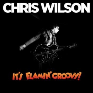 Chris Wilson - It's Flamin' Groovy in the group CD / Rock at Bengans Skivbutik AB (652888)