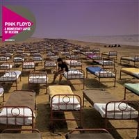 Pink Floyd - A Momentary Lapse Of Reason in the group CD / Rock at Bengans Skivbutik AB (657070)