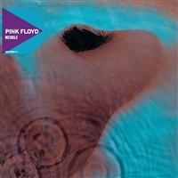 Pink Floyd - Meddle in the group CD / Pop-Rock at Bengans Skivbutik AB (657077)