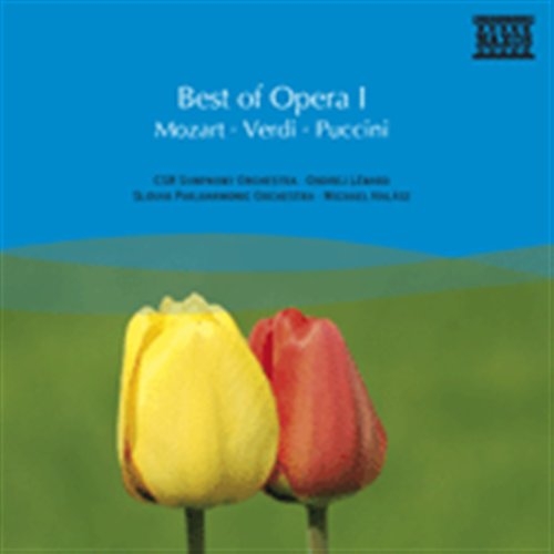 Various - Best Of Opera I in the group CD / Bestsellers at Bengans Skivbutik AB (658820)
