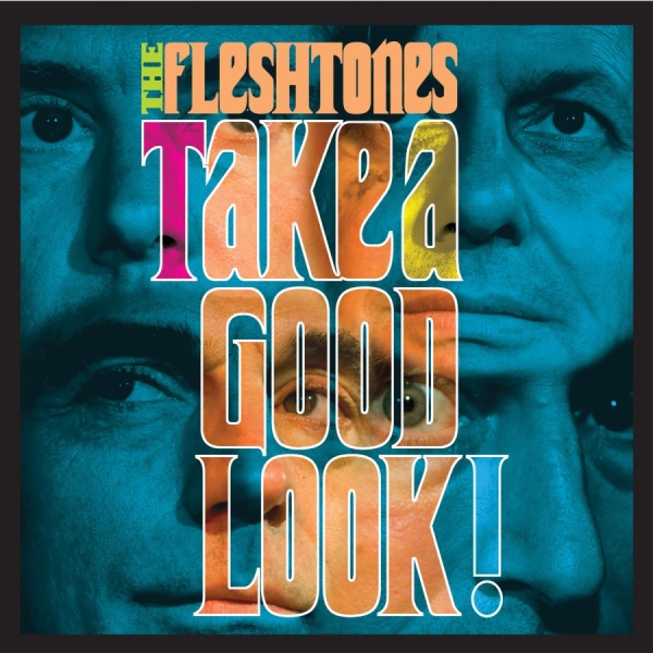 Fleshtones The - Take A Good Look in the group CD / Rock at Bengans Skivbutik AB (666872)