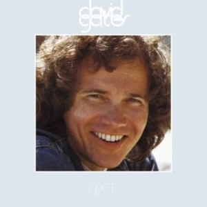 Gates David - First in the group CD / Pop-Rock at Bengans Skivbutik AB (667155)