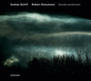Robert Schumann András Schiff - Geistervariationen in the group OUR PICKS / Classic labels / ECM Records at Bengans Skivbutik AB (672025)