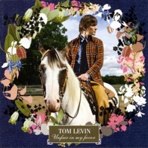 Tom Levin - Unfair In My Favor in the group CD / Rock at Bengans Skivbutik AB (674394)