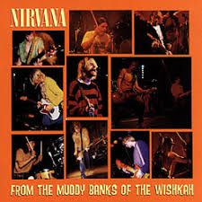 Nirvana - From The Muddy Banks in the group Labels /  at Bengans Skivbutik AB (682841)