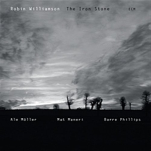 Williamson Robin - The Iron Stone in the group CD / Pop-Rock at Bengans Skivbutik AB (685237)