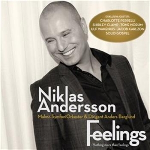 Andersson Niklas - Feelings in the group Externt_Lager /  at Bengans Skivbutik AB (686317)