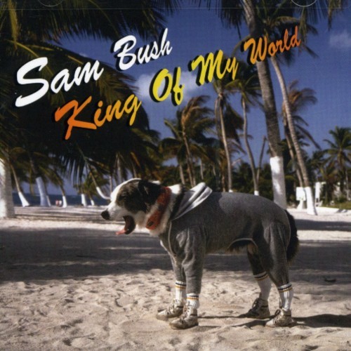 Bush Sam - King Of My World in the group CD / Country at Bengans Skivbutik AB (687950)