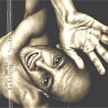 Infernal Poetry - Beholding The Unpure in the group CD / Bestsellers at Bengans Skivbutik AB (692555)