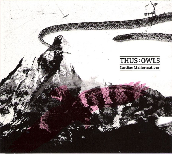 Thus:Owls/Erika Alexandersson - Cardiac Malformations in the group CD / Bestsellers at Bengans Skivbutik AB (698257)