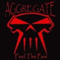 Aggregate - Feel The Pain in the group CD / Hårdrock/ Heavy metal at Bengans Skivbutik AB (699468)