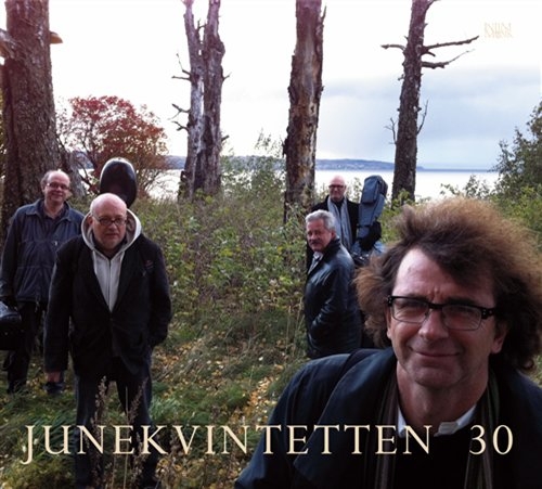 Various - Junekvintetten 30 in the group OTHER / -Start JazzKlass Summer at Bengans Skivbutik AB (699931)