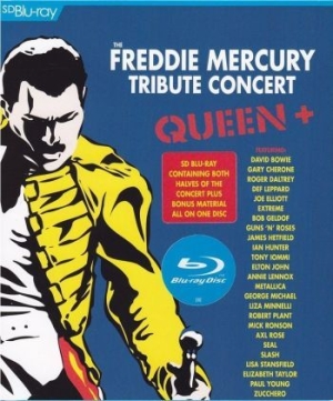 Blandade Artister - The Freddie Mercury Tribute Concert in the group MUSIK / Musik Blu-Ray / Rock at Bengans Skivbutik AB (741121)