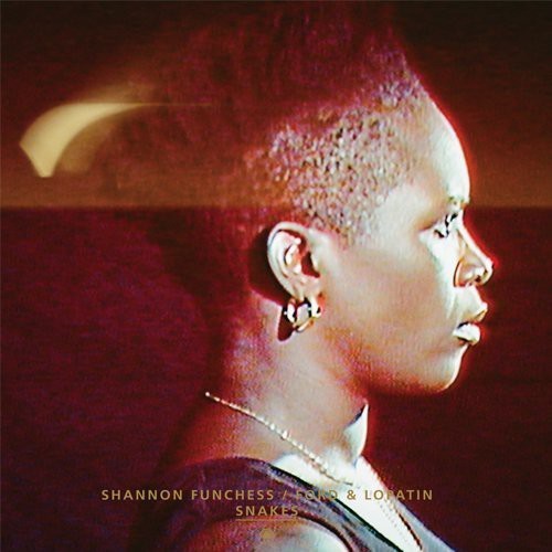 Ford And Lopatim Shannon Func - Snakes Flying Dream in the group VINYL / Pop at Bengans Skivbutik AB (780671)