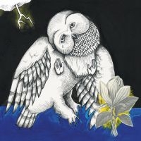 Songs: Ohia - Magnolia Electric Co. (Deluxe Ed.) in the group VINYL / Pop-Rock at Bengans Skivbutik AB (780812)