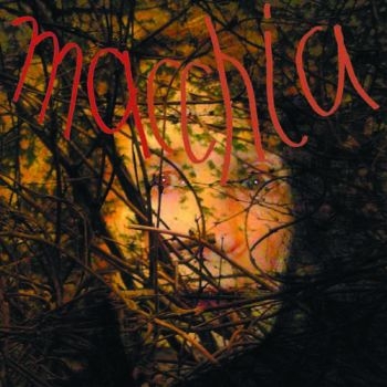 Fuchs/Heemann/Van Luijk - Macchia Forest in the group VINYL / Bestsellers at Bengans Skivbutik AB (924010)