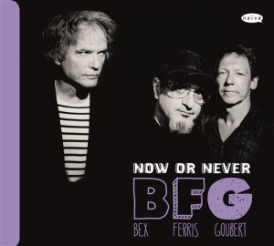 Bex / Ferris / Goubert - Now Or Never in the group CD / Jazz at Bengans Skivbutik AB (945604)