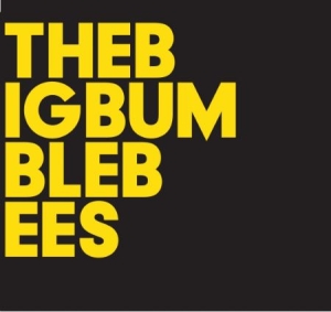 Big Bumble Bees The - The Big Bumble Bees in the group CD / Pop-Rock,Svensk Folkmusik at Bengans Skivbutik AB (946714)