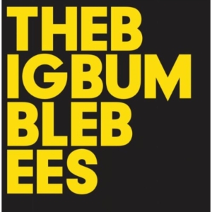 Big Bumble Bees The - The Big Bumble Bees in the group CD / Pop-Rock,Svensk Folkmusik at Bengans Skivbutik AB (946714)