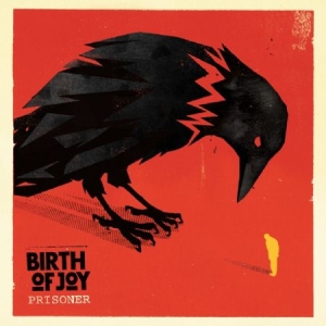 Birth Of Joy - Prisoner in the group OUR PICKS / Stocksale / CD Sale / CD POP at Bengans Skivbutik AB (952449)