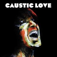 Paolo Nutini - Caustic Love in the group VINYL / Pop-Rock at Bengans Skivbutik AB (997775)