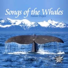 Various Artists - Songs Of The Whales in the group CD / Pop-Rock at Bengans Skivbutik AB (1012692)