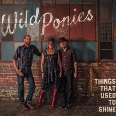 Wild Ponies - Things That Used To Shine