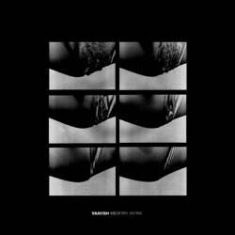 Vaniish - Memory Work in the group CD / Pop at Bengans Skivbutik AB (1049825)