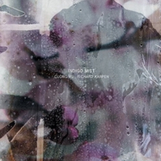 Indigo Mist - That The Days Go By And Never... (1