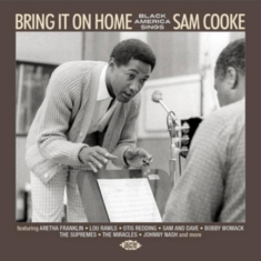 Various Artists - Bring It On Home: Black America Sin