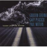 Grdina Gordon/Gary Peacock & Paul M - Think Like The Waves in the group MUSIK / SACD / Jazz/Blues at Bengans Skivbutik AB (1176474)