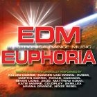 Blandade Artister - Edm Euphoria in the group CD / Pop at Bengans Skivbutik AB (1193763)