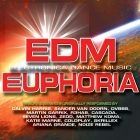 Blandade Artister - Edm Euphoria