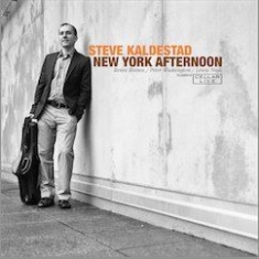 Kaldestad Steve - New York Afternoon in the group OTHER / Övrigt /  at Bengans Skivbutik AB (1252171)