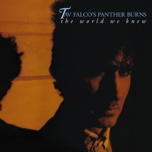 Falco Tav & Panther Burns - World We Knew + Shake Rag + Live In