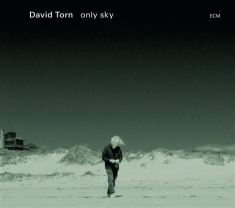 Torn David - Only Sky