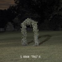 S. Araw 