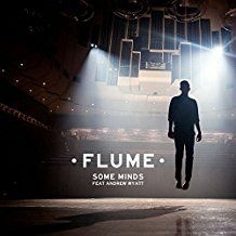 Flume - Some Minds in the group VINYL / Dans/Techno at Bengans Skivbutik AB (1528778)