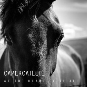 Capercaillie - At The Heart Of It All