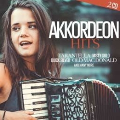 Blandade Artister - Akkordeon Hits