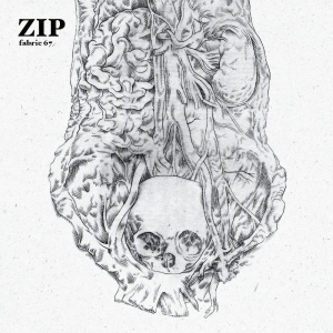 Zip - Fabric 67 :