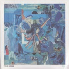 Echo Bloom - Blue in the group VINYL / Pop at Bengans Skivbutik AB (1798078)