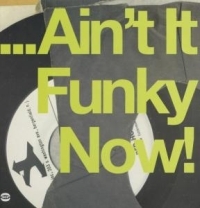Various Artists - Ain't It Funky Now!