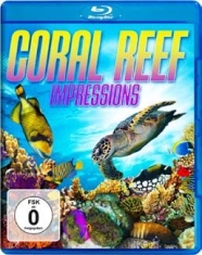Coral Reef - Impressions - Spcial Interest in the group MUSIK / Musik Blu-Ray / Övrigt at Bengans Skivbutik AB (1810391)