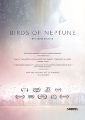 Birds Of Neptune - Film in the group OTHER / Music-DVD & Bluray at Bengans Skivbutik AB (1818017)