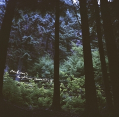 Stein & Mari - Stein & Mari's Daydream Community E