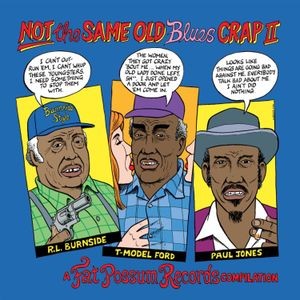 Various Artists - Not The Same Old Blues Crap Ii