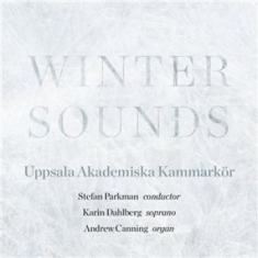 Blandade Artister - Winter Sounds
